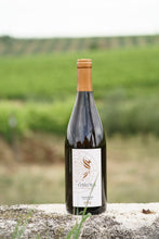 Carica l'immagine nel visualizzatore di Gallery, Viognier Linea Ars Magna