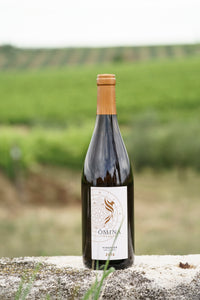 Viognier Linea Ars Magna