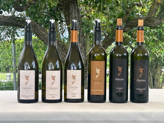 Cantine Aperte: le nostre vigne e l'aria di primavera