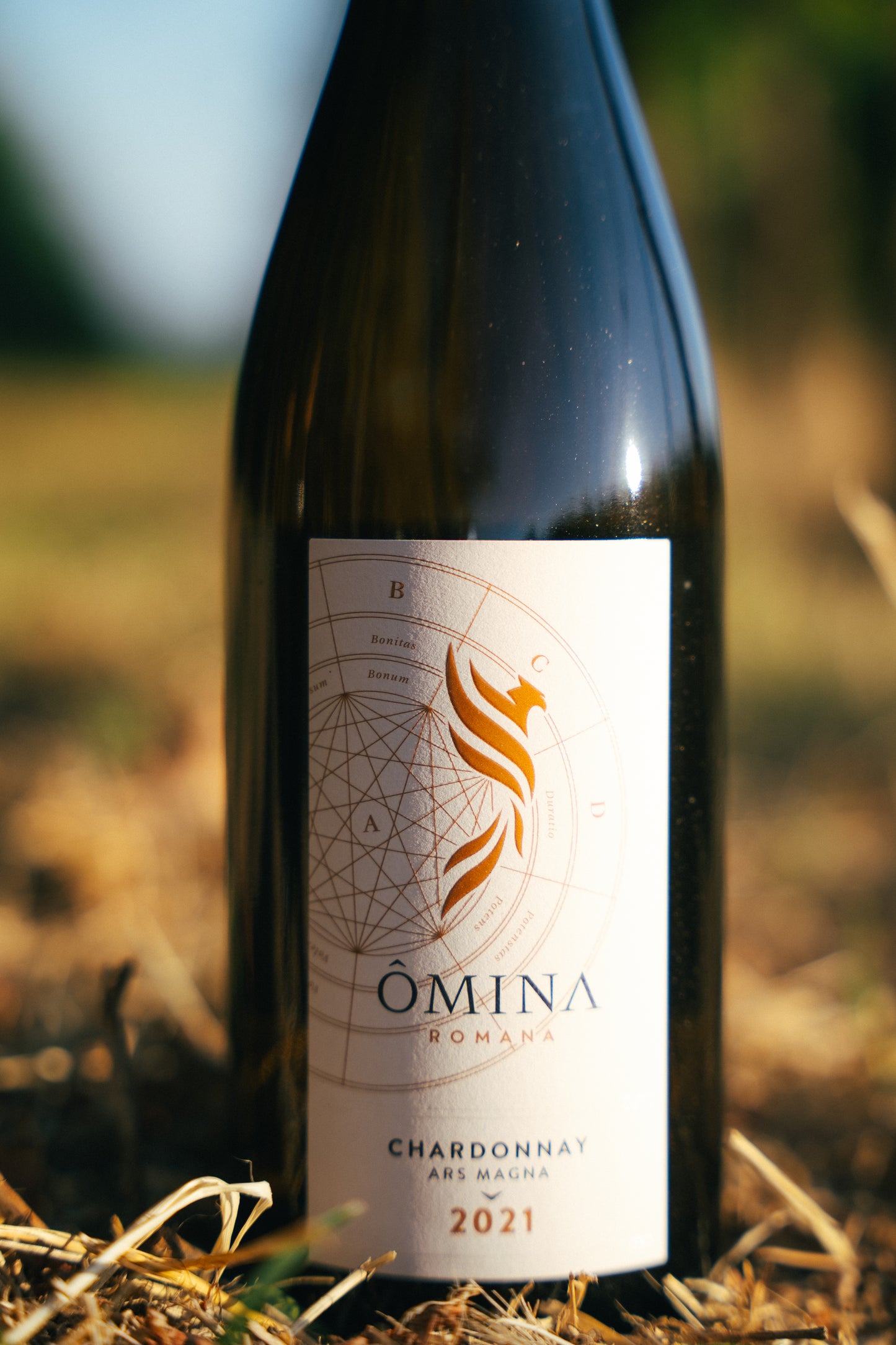 Chardonnay Linea Ars Magna