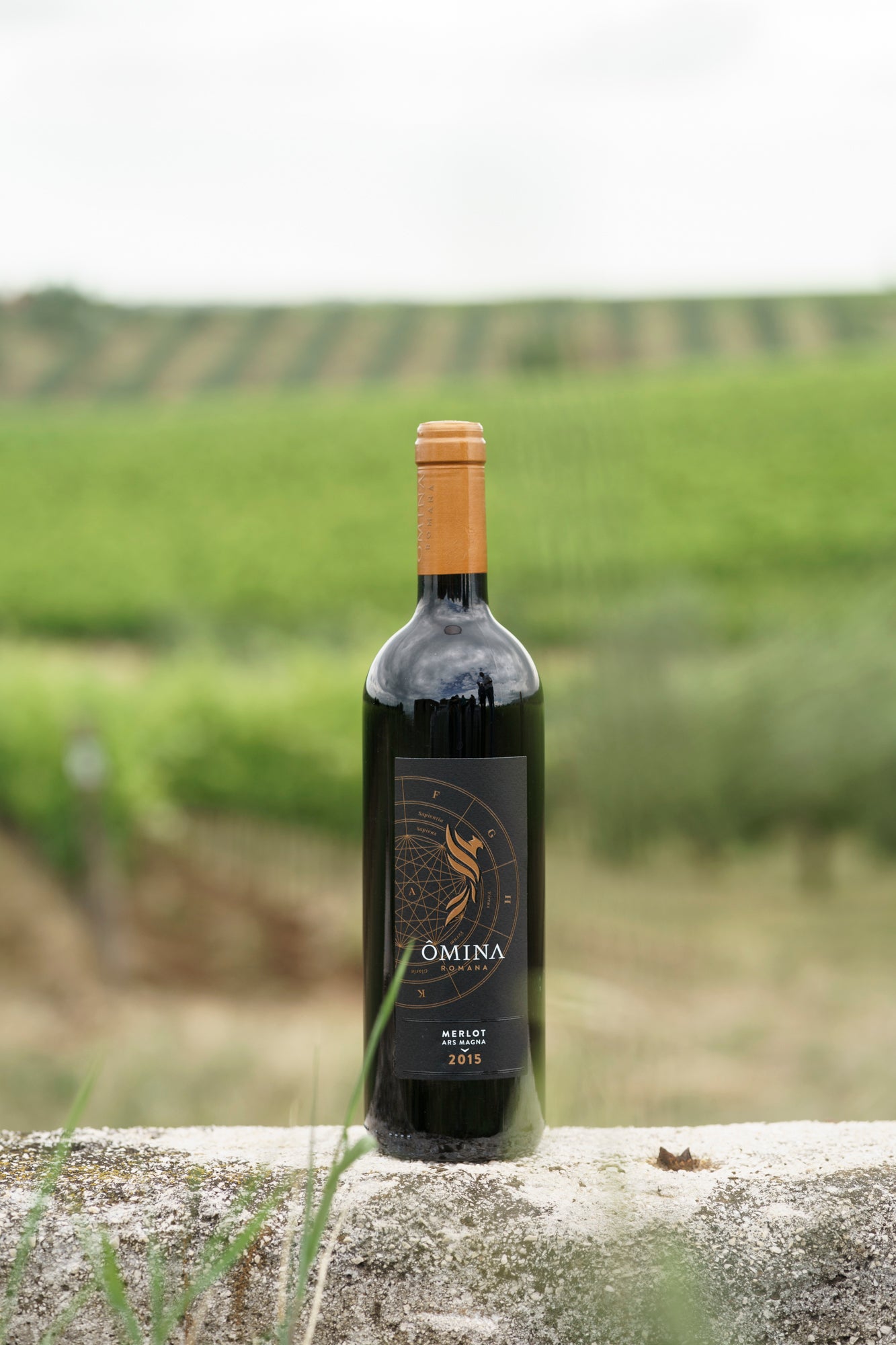 Merlot Linea Ars Magna